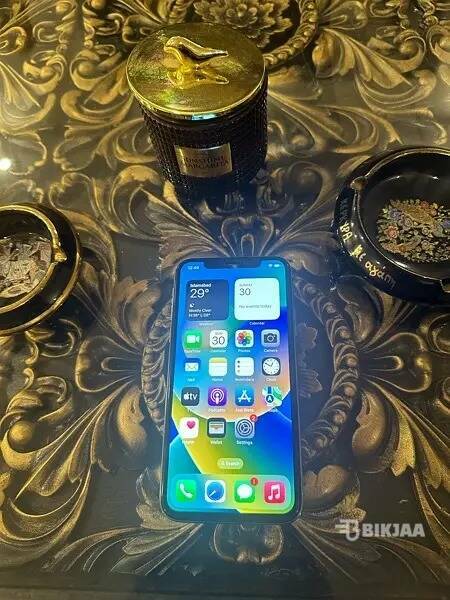 iPhone X