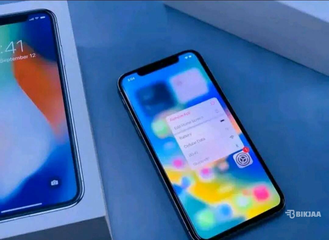 iPhone X