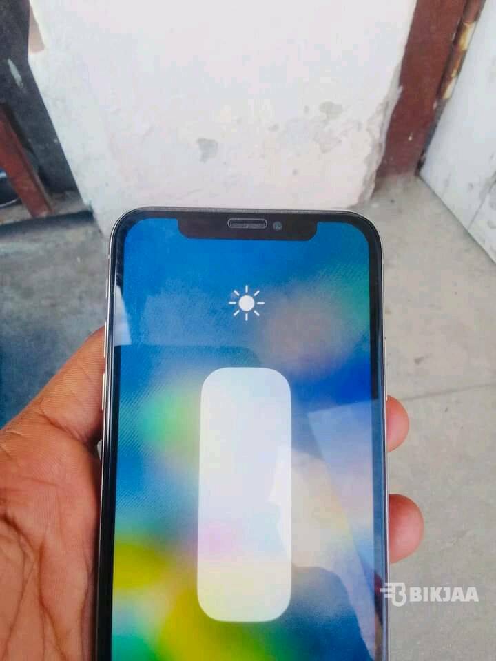 iPhone X