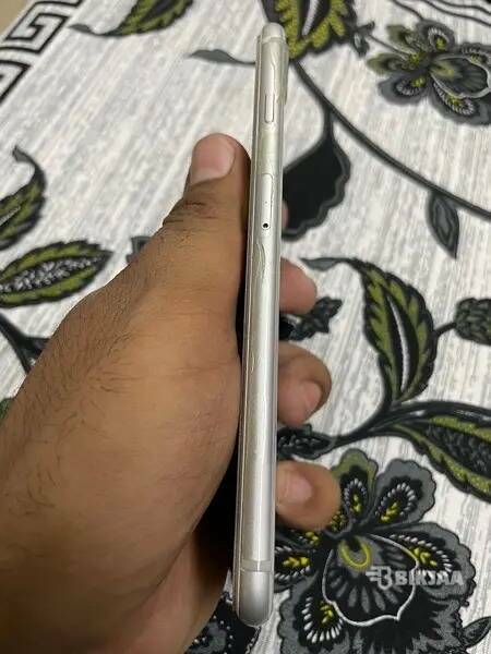 iphone 8 Plus