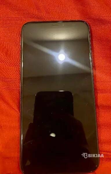 iPhone X