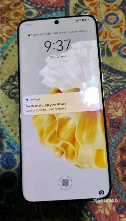 P60 Pro