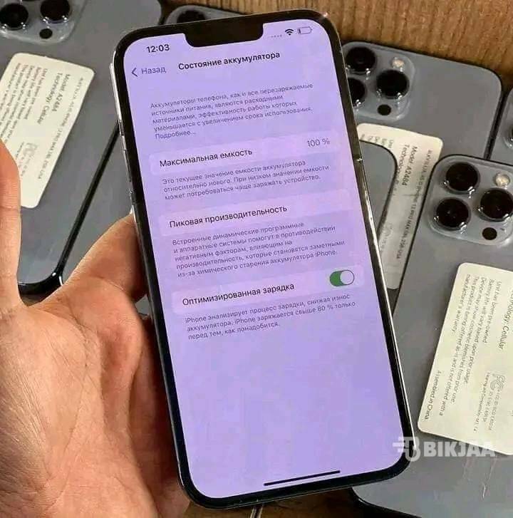 iPhone 13 Pro Max